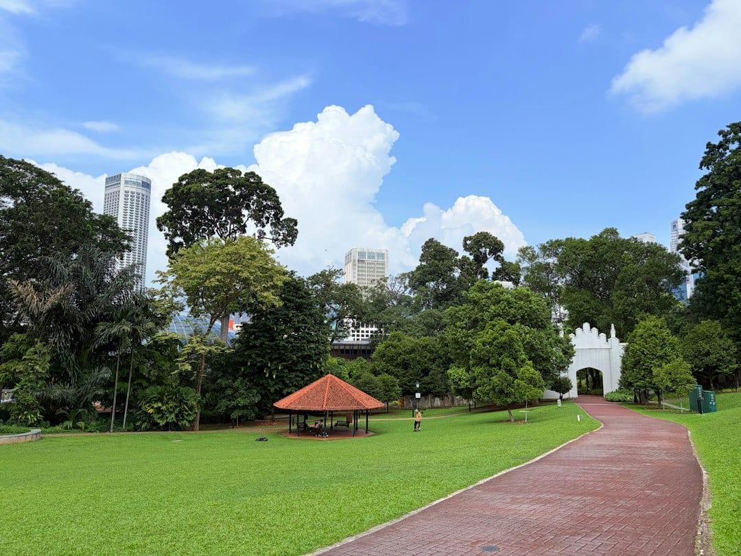 Detached bungalow with mature garden and city skyline backdrop