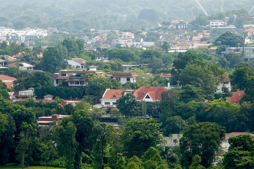Singapore landed homes nestled in a wooded area