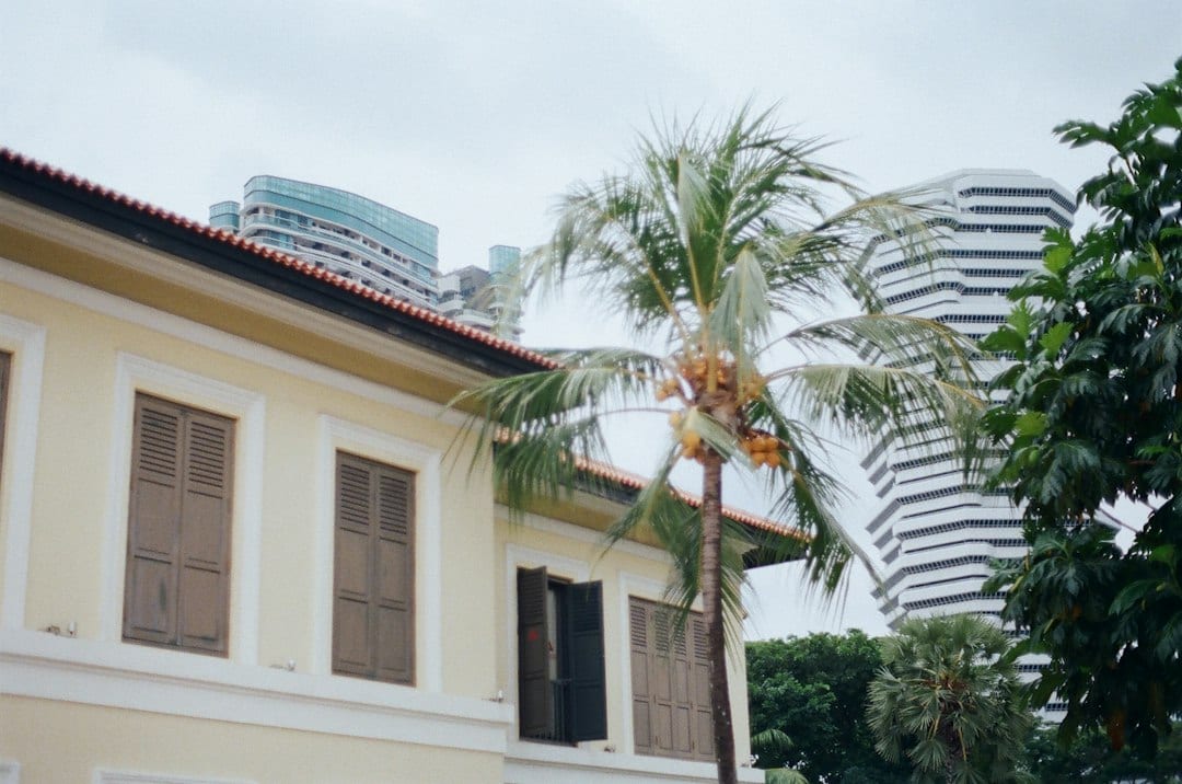 White concrete landed home near palm trees